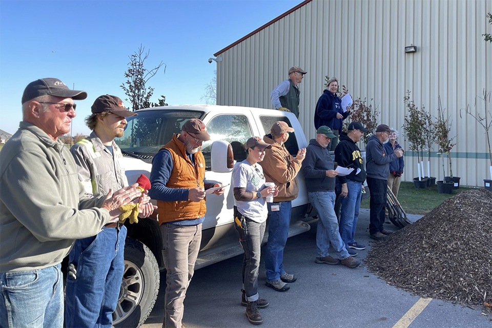 tree planting volunteers