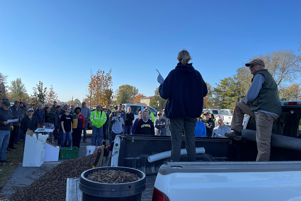 volunteers to plant trees