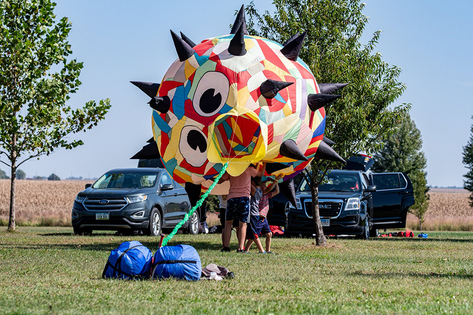 Blow fish kite