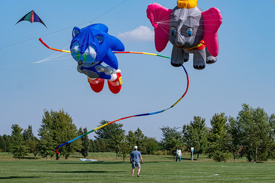 Sonic and Dumbo kites