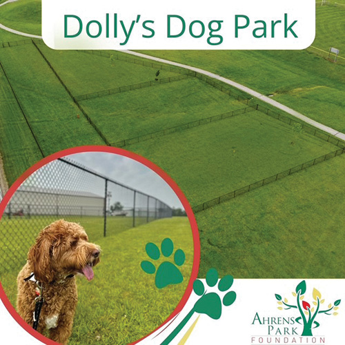 Timeline history - Dolly's Dog Park